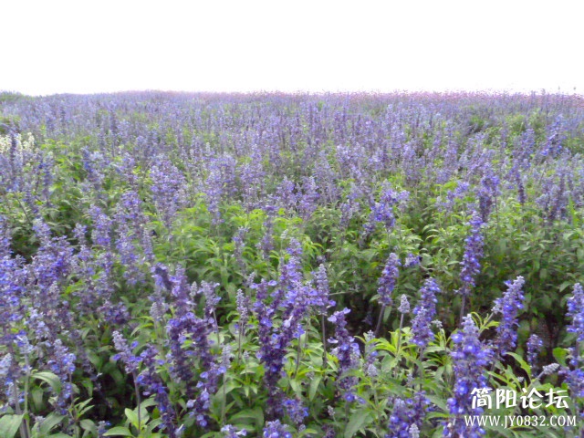 P1100880_副本.jpg