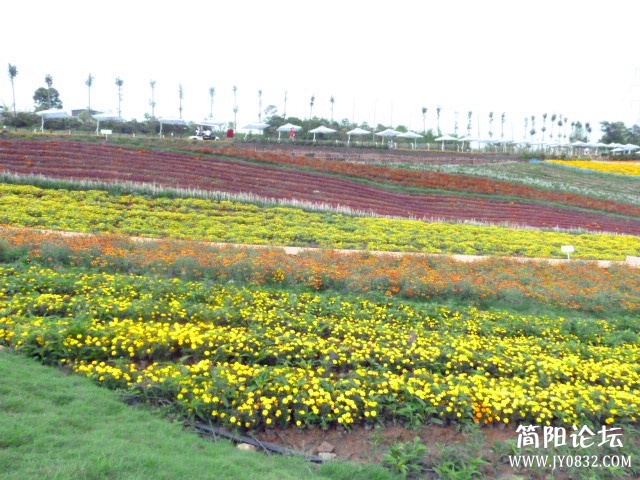 P1100883_副本.jpg