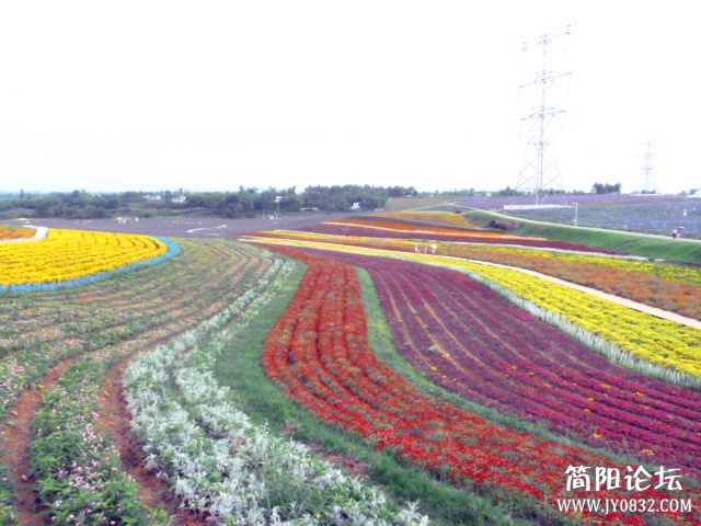 P1100887_副本.jpg