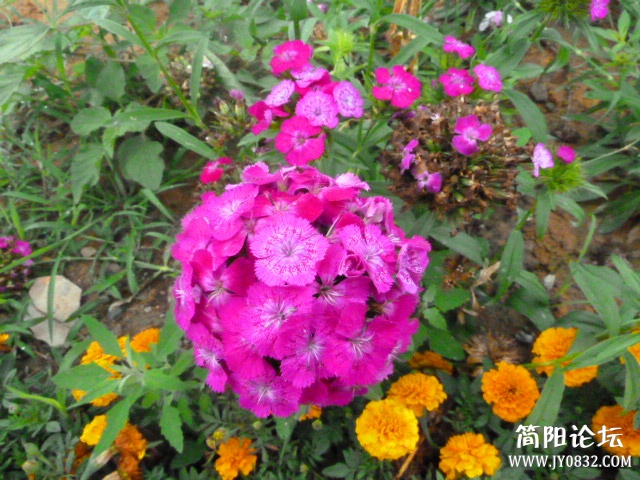 P1100924_副本.jpg
