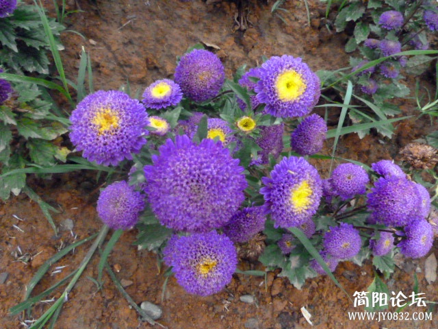 P1100925_副本.jpg