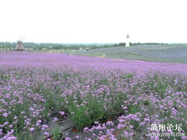 P1100942_副本.jpg