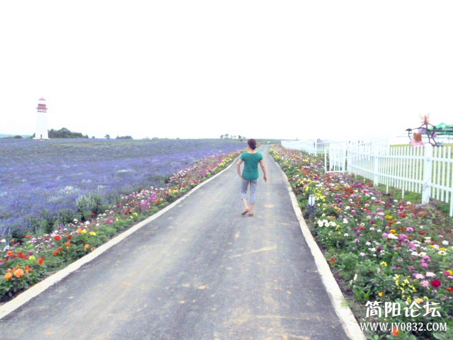 P1100945_副本.jpg