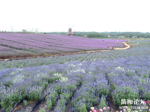 P1100949_副本.jpg