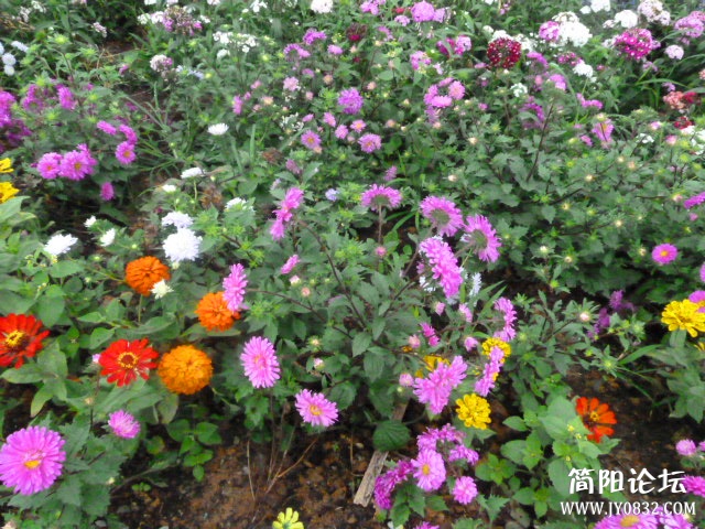 P1100953_副本.jpg