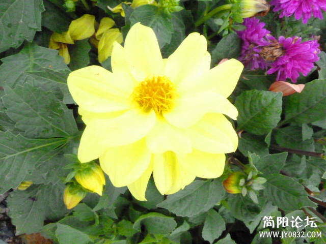 P1100954_副本.jpg