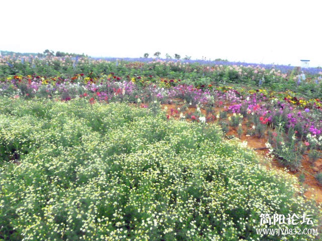 P1100961_副本.jpg