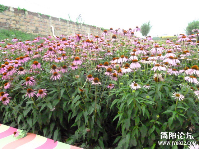 P1100986_副本.jpg