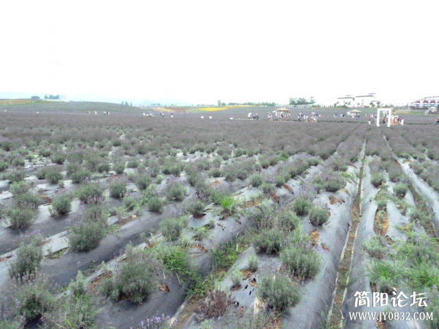 P1100990_副本.jpg