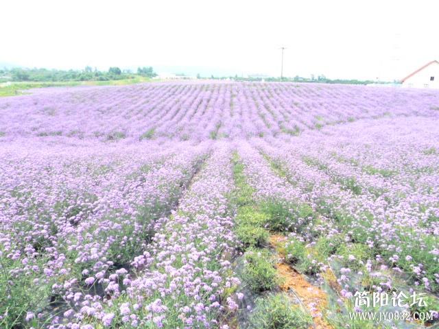 P1100992_副本.jpg