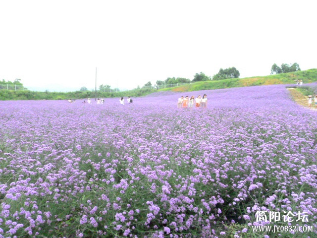 P1100995_副本.jpg