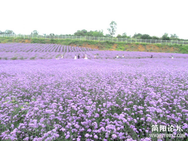 P1100998_副本.jpg
