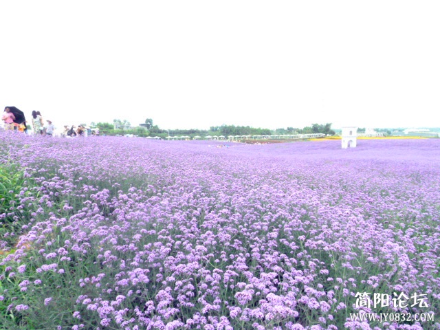 P1100999_副本.jpg