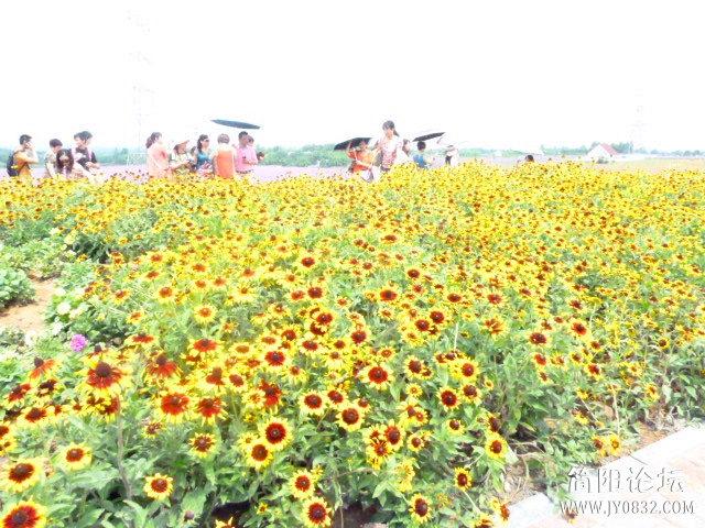 P1110001_副本.jpg
