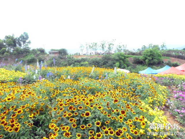 P1110002_副本.jpg