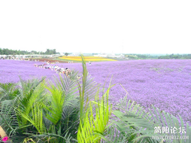 P1110003_副本.jpg