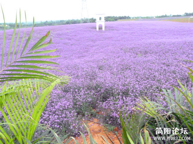 P1110004_副本.jpg