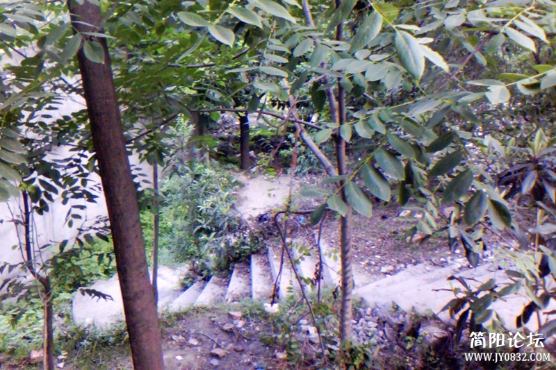IMG_Ali_00005.jpg