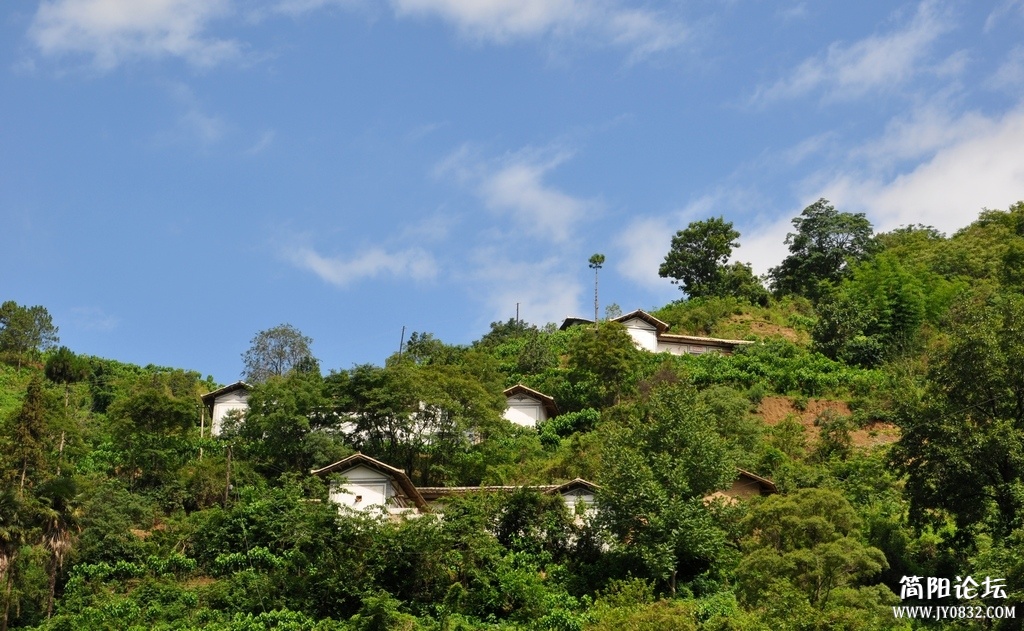 DSC_1405.jpg