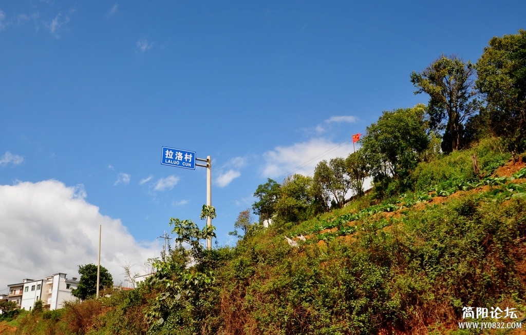 DSC_1416.jpg