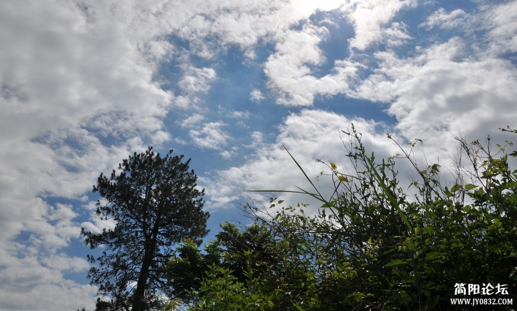 DSC_1429.jpg