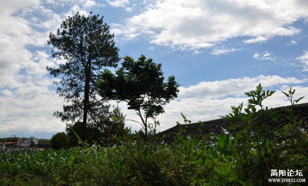 DSC_1430.jpg