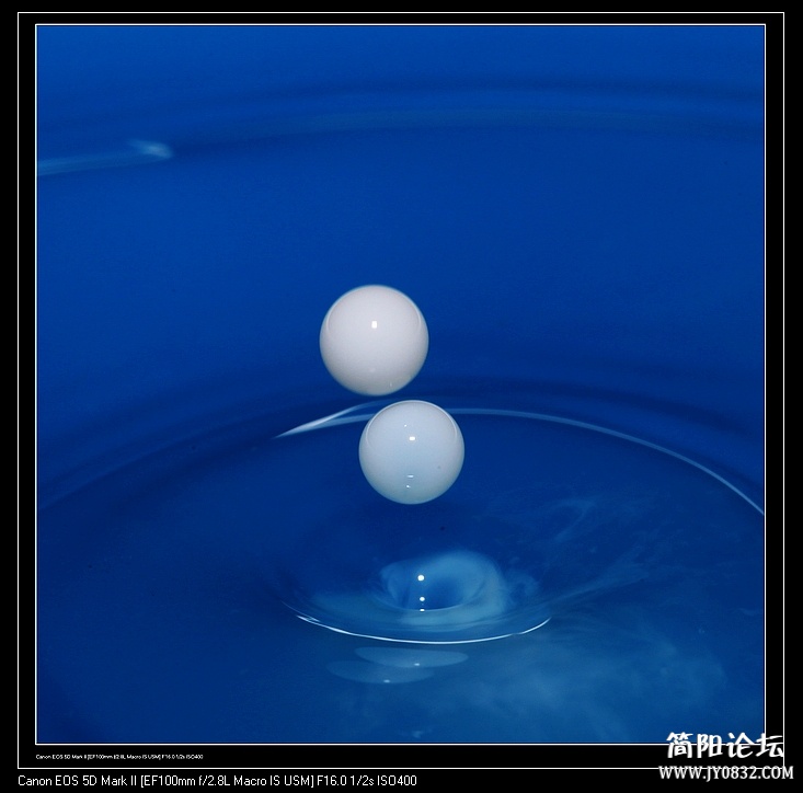 nEO_IMG_IMG_1019a.jpg