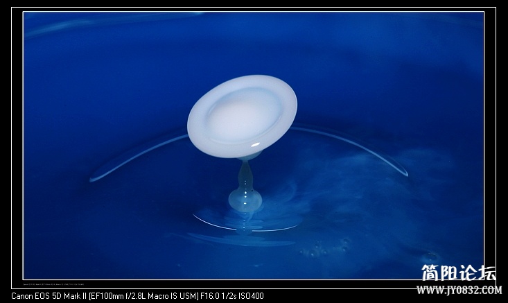 nEO_IMG_IMG_1028a.jpg