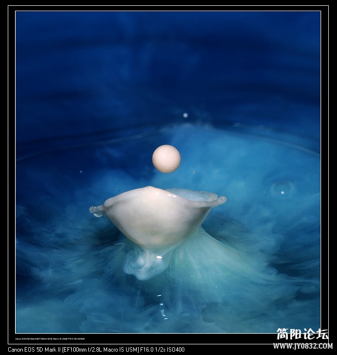 nEO_IMG_IMG_0798a.jpg