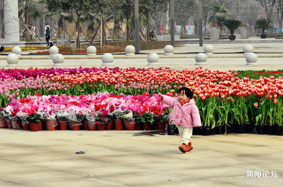 dsc_6456_副本.jpg