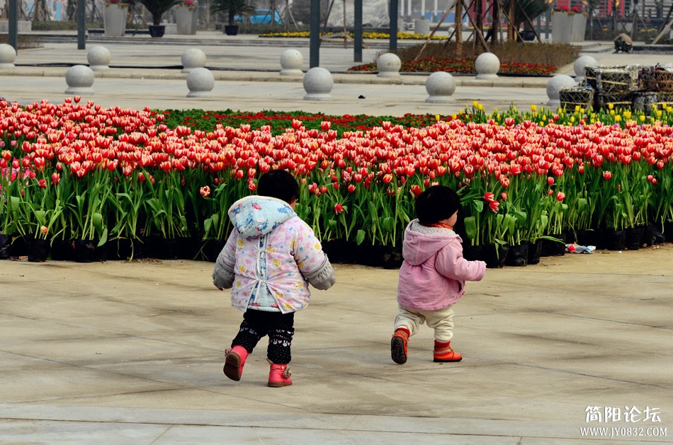 dsc_6463_副本.jpg