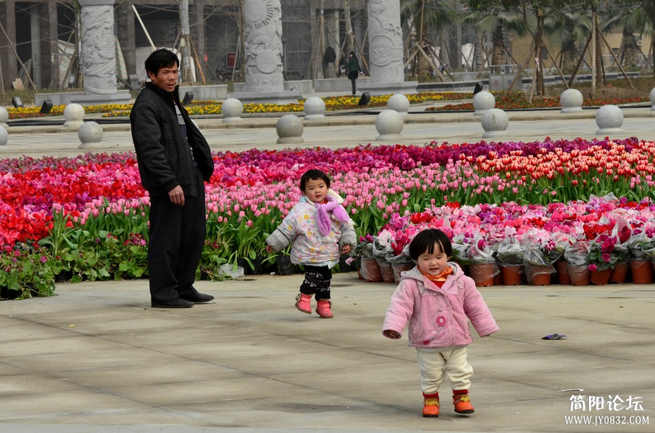 dsc_6460_副本.jpg