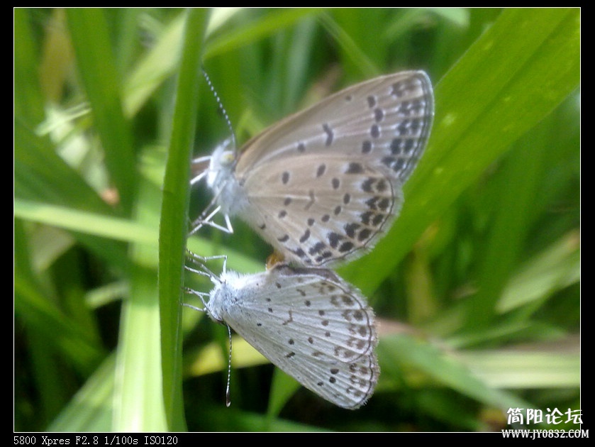20110724282.jpg