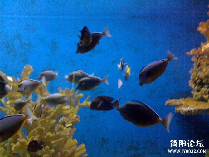 27)20080727334.jpg