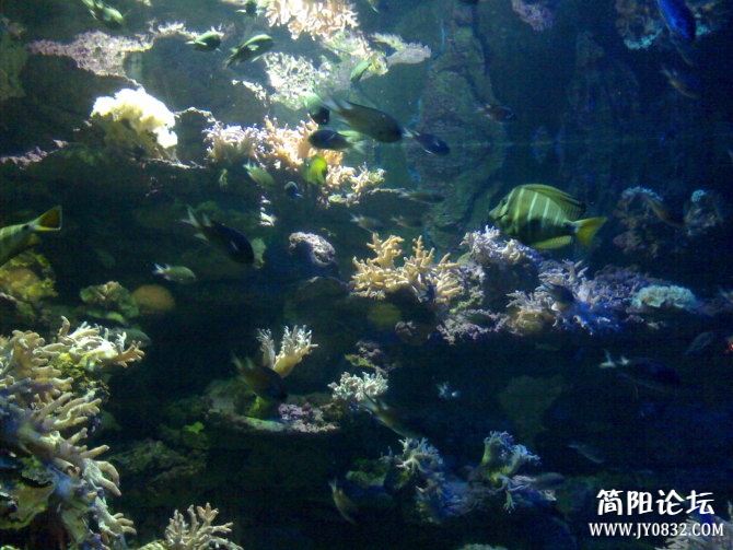 30)20080727325.jpg