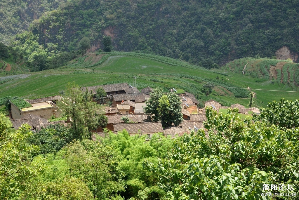 DSC_1597.jpg