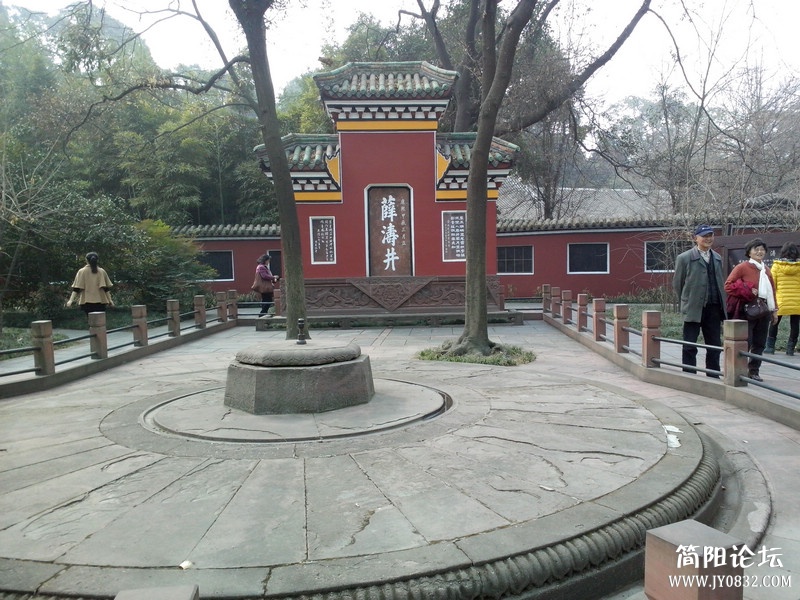 IMG_20130206_142732.jpg