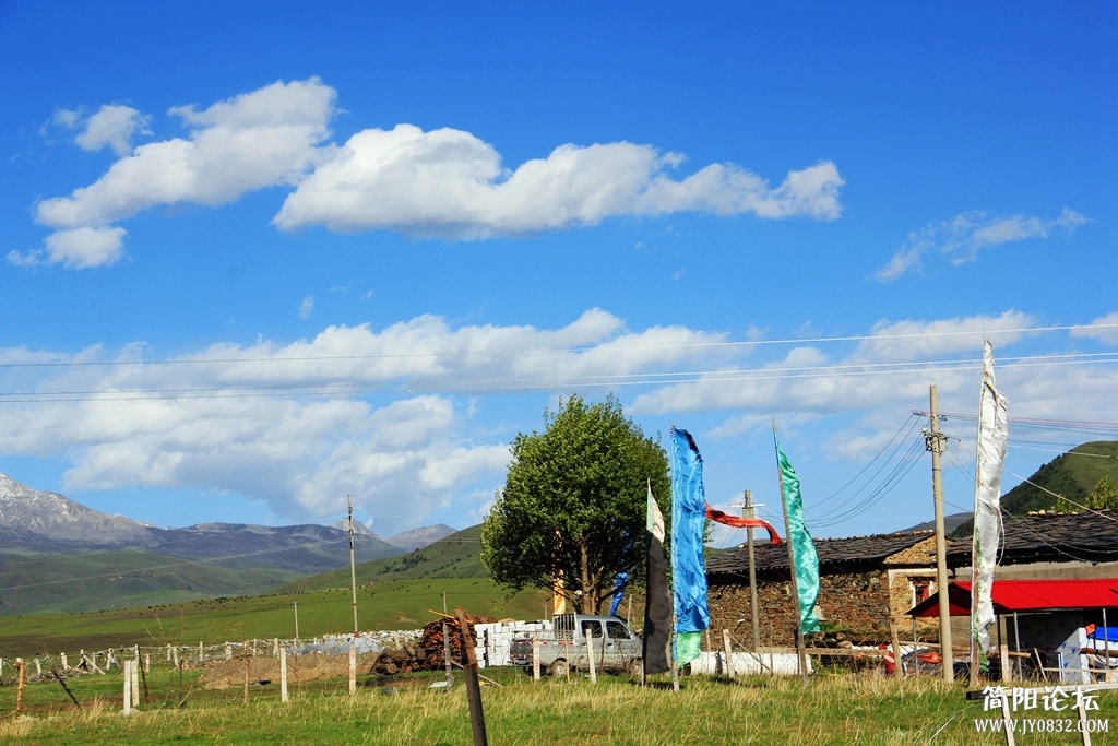 IMG_9485.jpg
