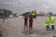 1.gif