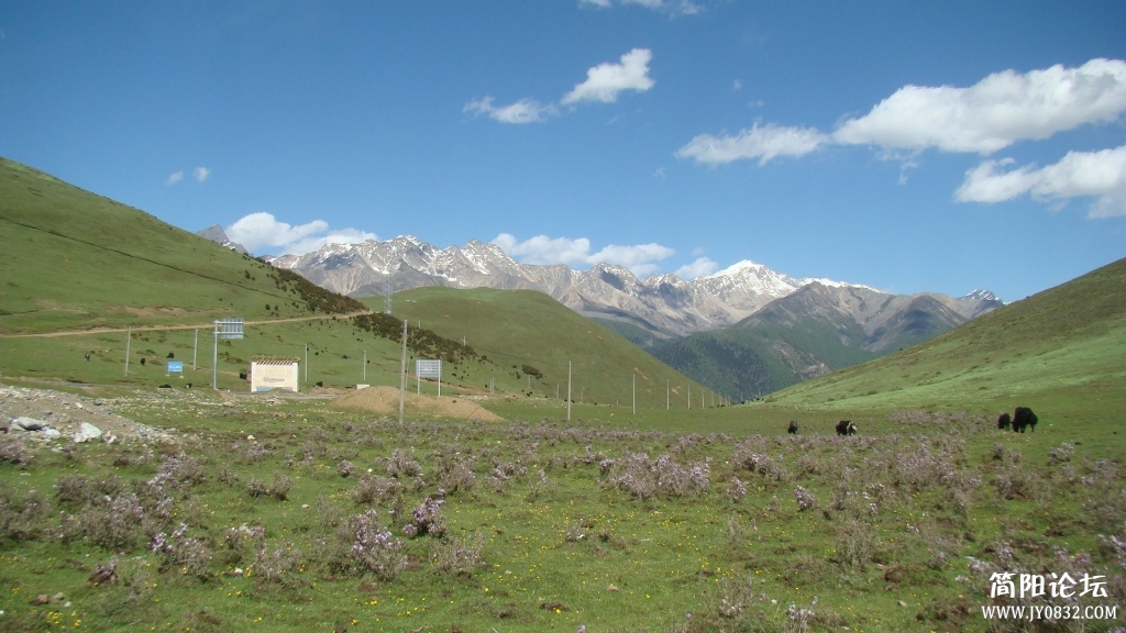 DSC09925.JPG