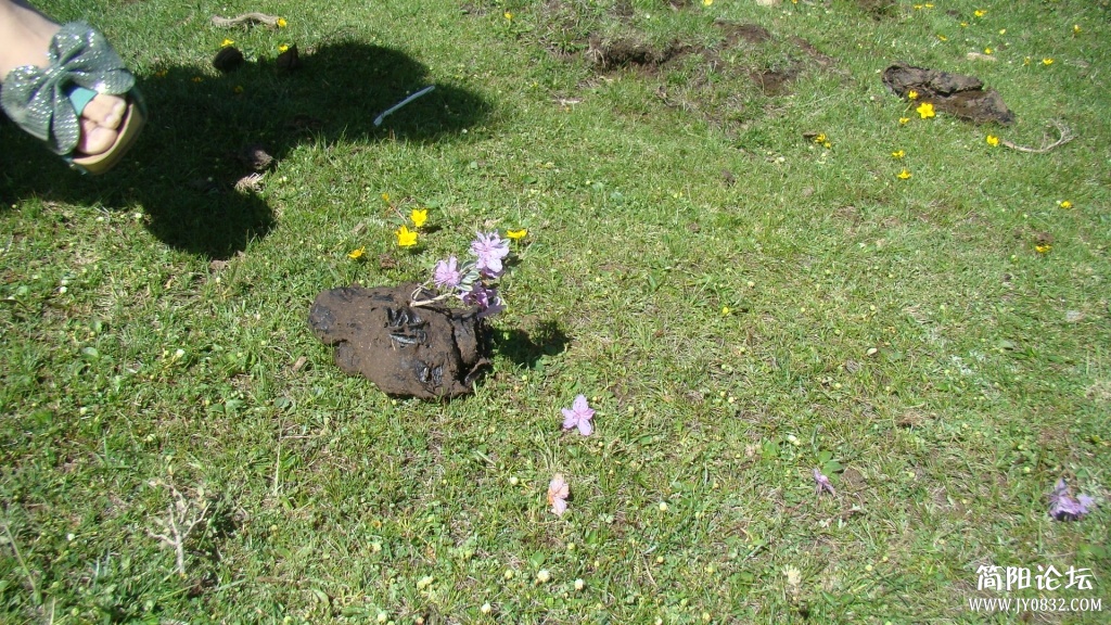 DSC09910.JPG