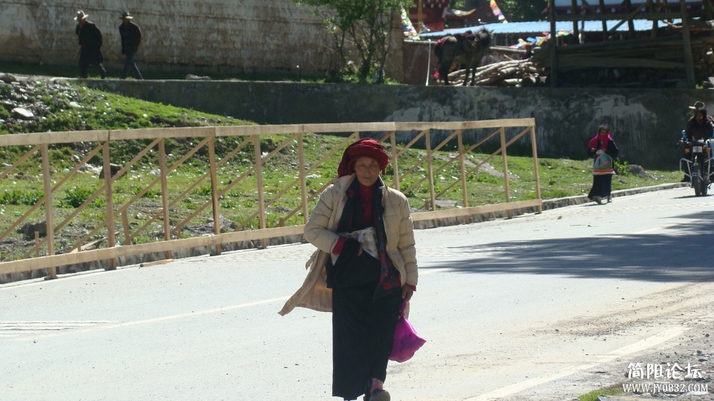 DSC09951.JPG