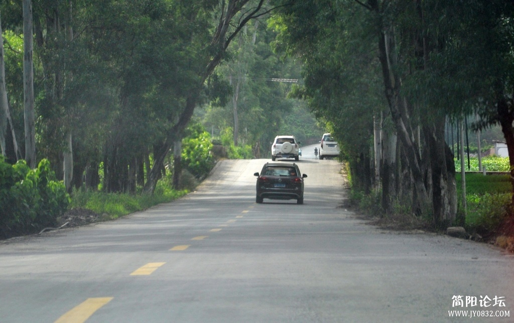 DSC_1796.jpg