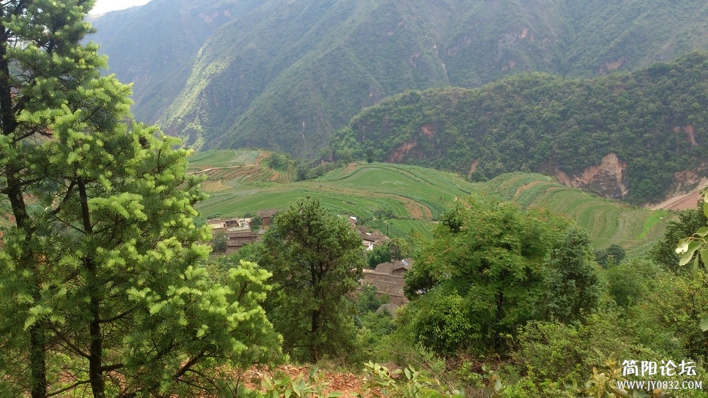 IMG20130608121305.jpg