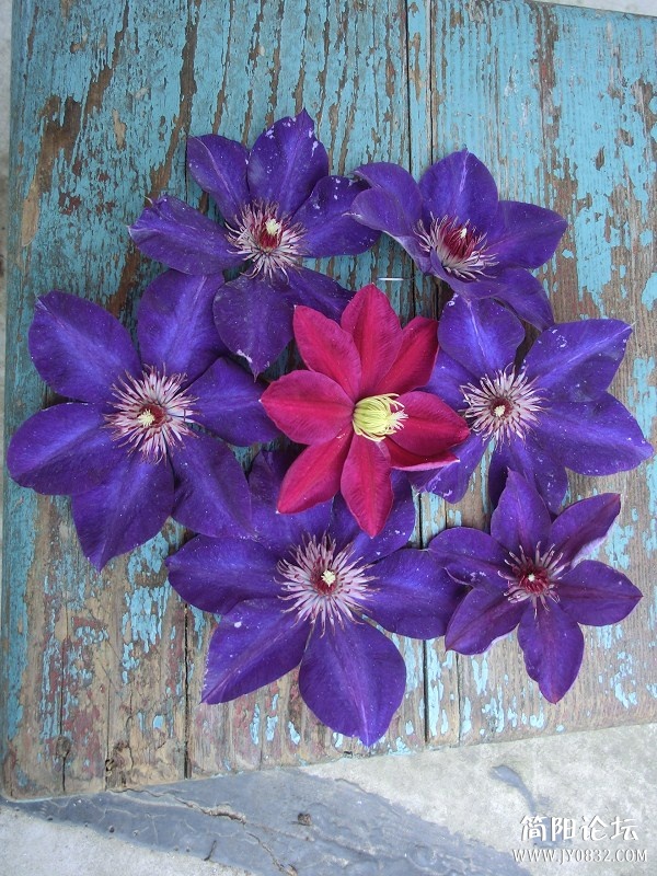 psb (8).jpg
