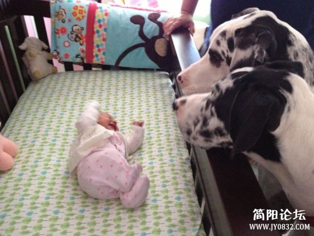 20130619012529781.jpg