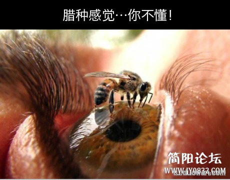 c1c36d6d550ef50da8f5449e67cea76e.jpg
