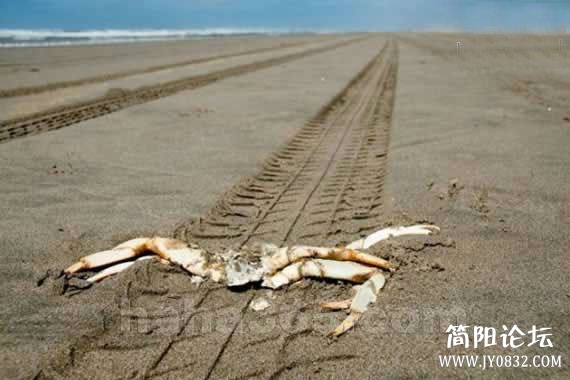 横行霸道的结局.jpg