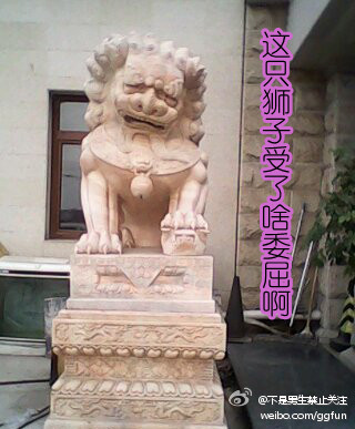 这只狮子受了啥委屈啊.jpg