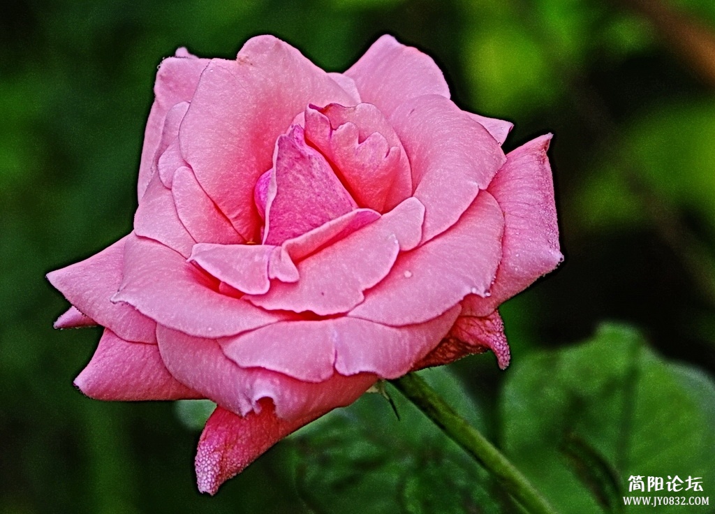 _IGP4991_调整大小.JPG